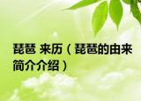 琵琶 来历（琵琶的由来简介介绍）