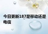 今日更新187是移动还是电信
