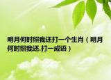 明月何时照我还打一个生肖（明月何时照我还.打一成语）