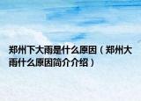 郑州下大雨是什么原因（郑州大雨什么原因简介介绍）