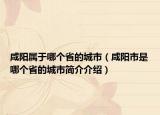 咸阳属于哪个省的城市（咸阳市是哪个省的城市简介介绍）