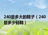 240是多大的鞋子（240是多少码鞋）