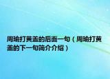 周瑜打黄盖的后面一句（周瑜打黄盖的下一句简介介绍）