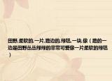 田野,柔软的,一片,路边的,绿毯,一块,像（路的一边是田野丛丛绿绿的非常可爱像一片柔软的绿毯）