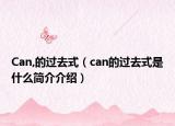 Can,的过去式（can的过去式是什么简介介绍）