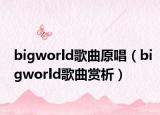 bigworld歌曲原唱（bigworld歌曲赏析）