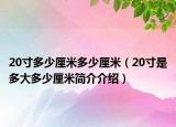 20寸多少厘米多少厘米（20寸是多大多少厘米简介介绍）