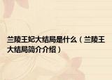 兰陵王妃大结局是什么（兰陵王大结局简介介绍）