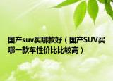 国产suv买哪款好（国产SUV买哪一款车性价比比较高）