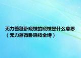 无力蔷薇卧晓枝的晓枝是什么意思（无力蔷薇卧晓枝全诗）