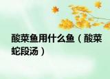酸菜鱼用什么鱼（酸菜蛇段汤）