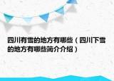 四川有雪的地方有哪些（四川下雪的地方有哪些简介介绍）
