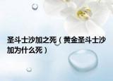 圣斗士沙加之死（黄金圣斗士沙加为什么死）
