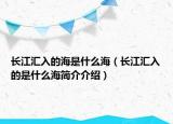 长江汇入的海是什么海（长江汇入的是什么海简介介绍）