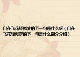 自在飞花轻似梦的下一句是什么呀（自在飞花轻似梦的下一句是什么简介介绍）
