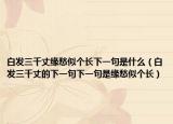 白发三千丈缘愁似个长下一句是什么（白发三千丈的下一句下一句是缘愁似个长）