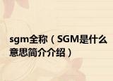 sgm全称（SGM是什么意思简介介绍）