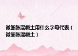 微膨胀混凝土用什么字母代表（微膨胀混凝土）