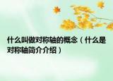什么叫做对称轴的概念（什么是对称轴简介介绍）