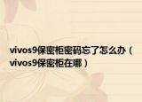 vivos9保密柜密码忘了怎么办（vivos9保密柜在哪）