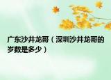 广东沙井龙哥（深圳沙井龙哥的岁数是多少）