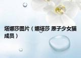 塔娜莎图片（娜塔莎 原子少女猫成员）