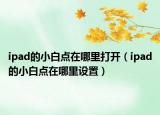 ipad的小白点在哪里打开（ipad的小白点在哪里设置）
