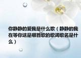 你静静的爱我是什么歌（静静的我在等你这是哪首歌的歌词歌名是什么）