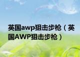英国awp狙击步枪（英国AWP狙击步枪）