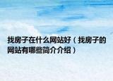 找房子在什么网站好（找房子的网站有哪些简介介绍）