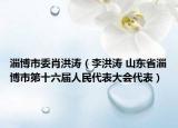 淄博市委肖洪涛（李洪涛 山东省淄博市第十六届人民代表大会代表）