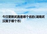 今日更新武昌是哪个省的(湖南武汉属于哪个市)