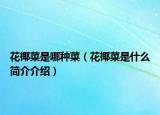 花椰菜是哪种菜（花椰菜是什么简介介绍）