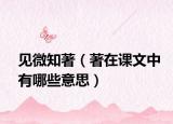 见微知著（著在课文中有哪些意思）