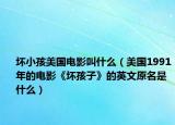 坏小孩美国电影叫什么（美国1991年的电影《坏孩子》的英文原名是什么）