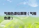 气相色谱仪原理（气相色谱）