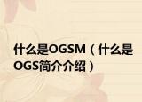什么是OGSM（什么是OGS简介介绍）