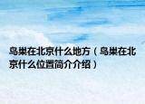鸟巢在北京什么地方（鸟巢在北京什么位置简介介绍）