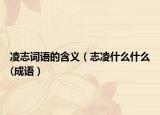 凌志词语的含义（志凌什么什么(成语）