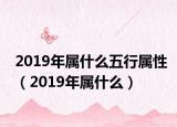 2019年属什么五行属性（2019年属什么）