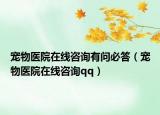 宠物医院在线咨询有问必答（宠物医院在线咨询qq）