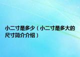 小二寸是多少（小二寸是多大的尺寸简介介绍）