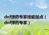 dnf弹药专家技能加点（dnf弹药专家）