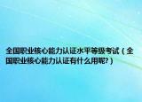全国职业核心能力认证水平等级考试（全国职业核心能力认证有什么用呢?）