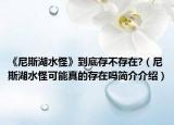 《尼斯湖水怪》到底存不存在?（尼斯湖水怪可能真的存在吗简介介绍）