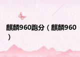 麒麟960跑分（麒麟960）