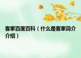 客家百度百科（什么是客家简介介绍）