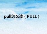 pull怎么读（PULL）