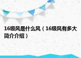 16级风是什么风（16级风有多大简介介绍）
