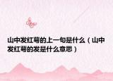 山中发红萼的上一句是什么（山中发红萼的发是什么意思）